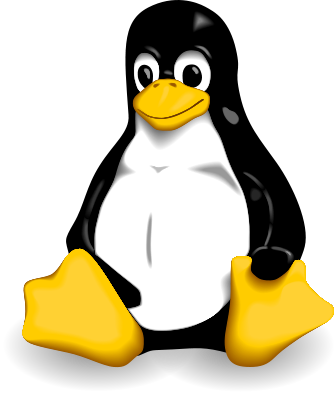 Instal·lant linux a un netbook